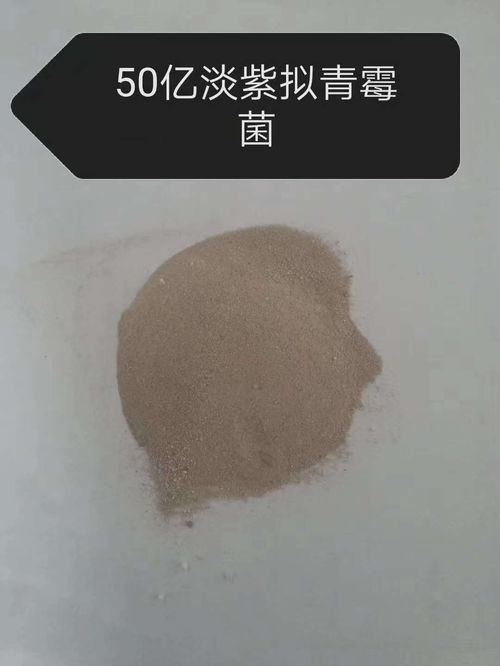 安达生物菌肥效果怎么样