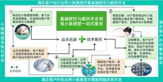 集萃药康卖老鼠赚钱南大为大客户 ipo拟募资超3年营收